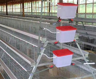 Automatic Poultry Water Trough